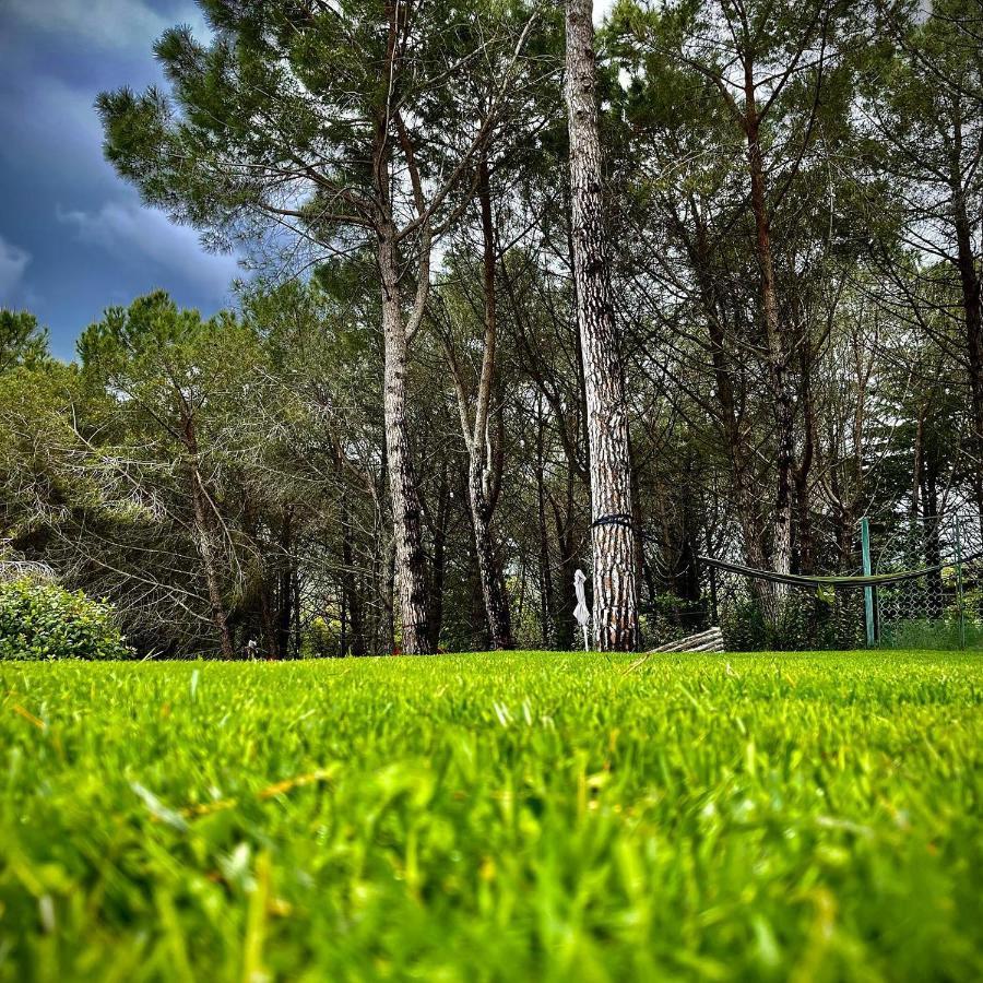 Camere Vecchia Fonte Campiglia Marittima Exteriér fotografie